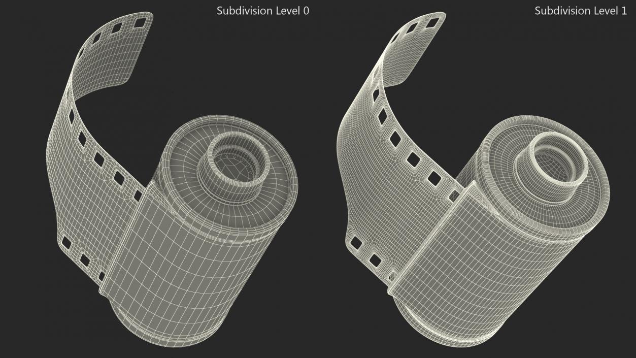 3D model Film Roll 400 Professional 35mm Fur