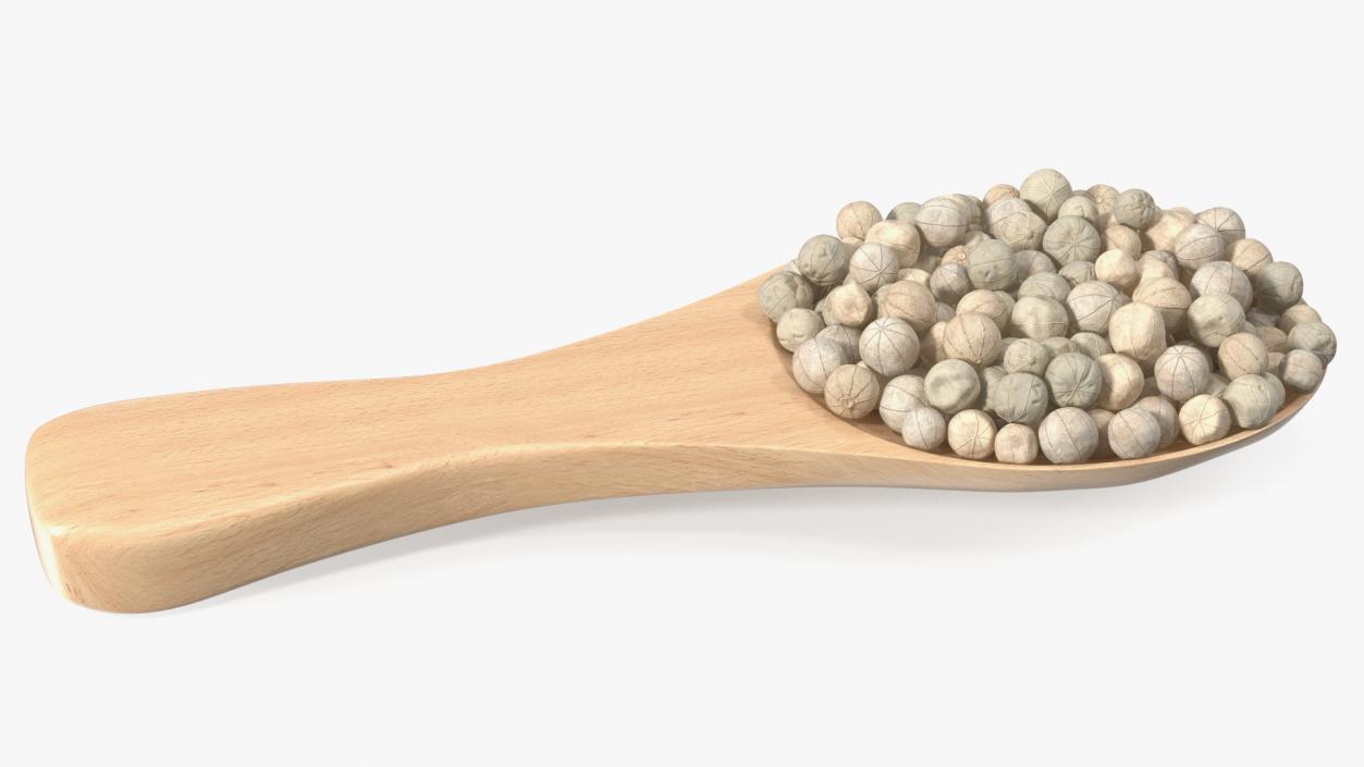 3D Spoon with White Dried Peppercorn model