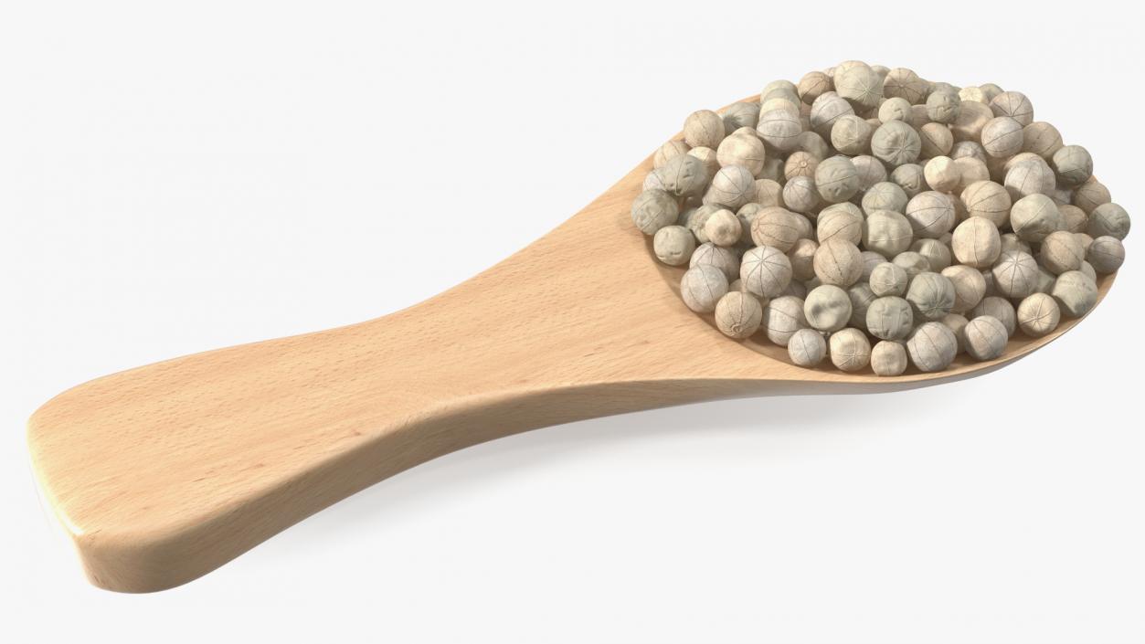 3D Spoon with White Dried Peppercorn model