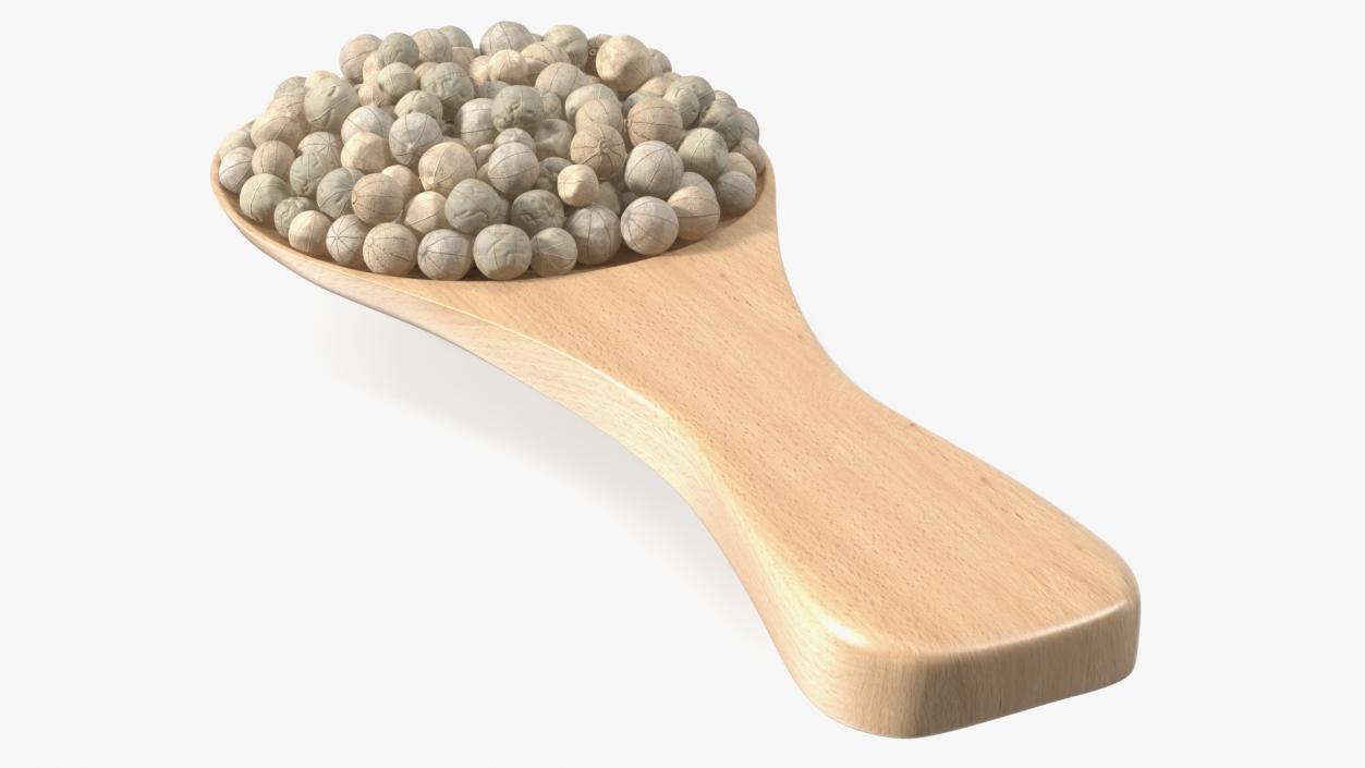 3D Spoon with White Dried Peppercorn model