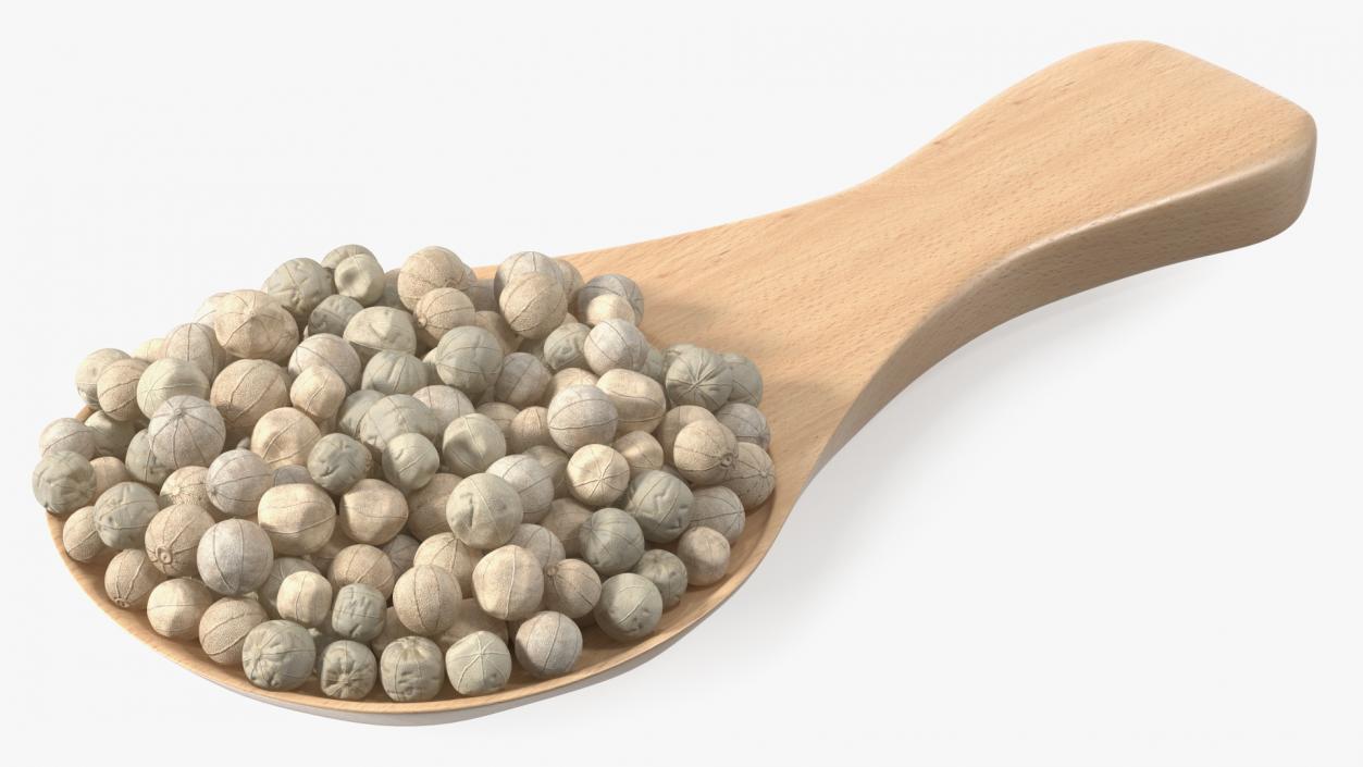 3D Spoon with White Dried Peppercorn model