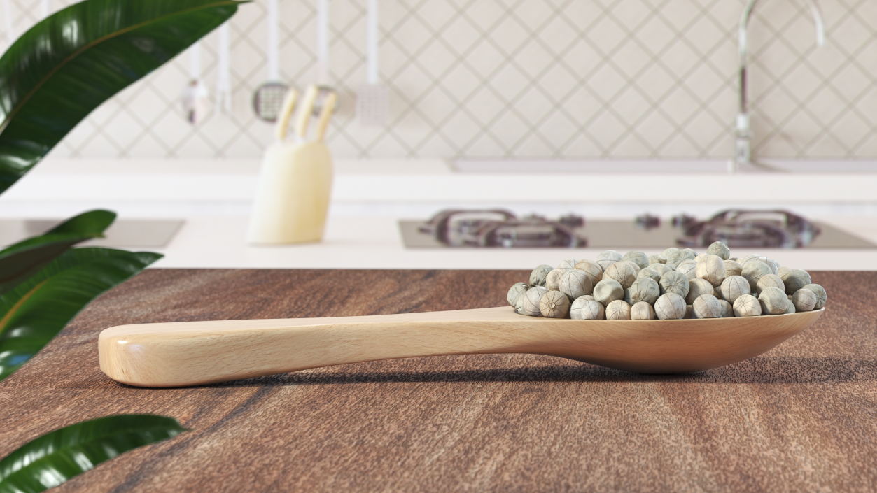 3D Spoon with White Dried Peppercorn model