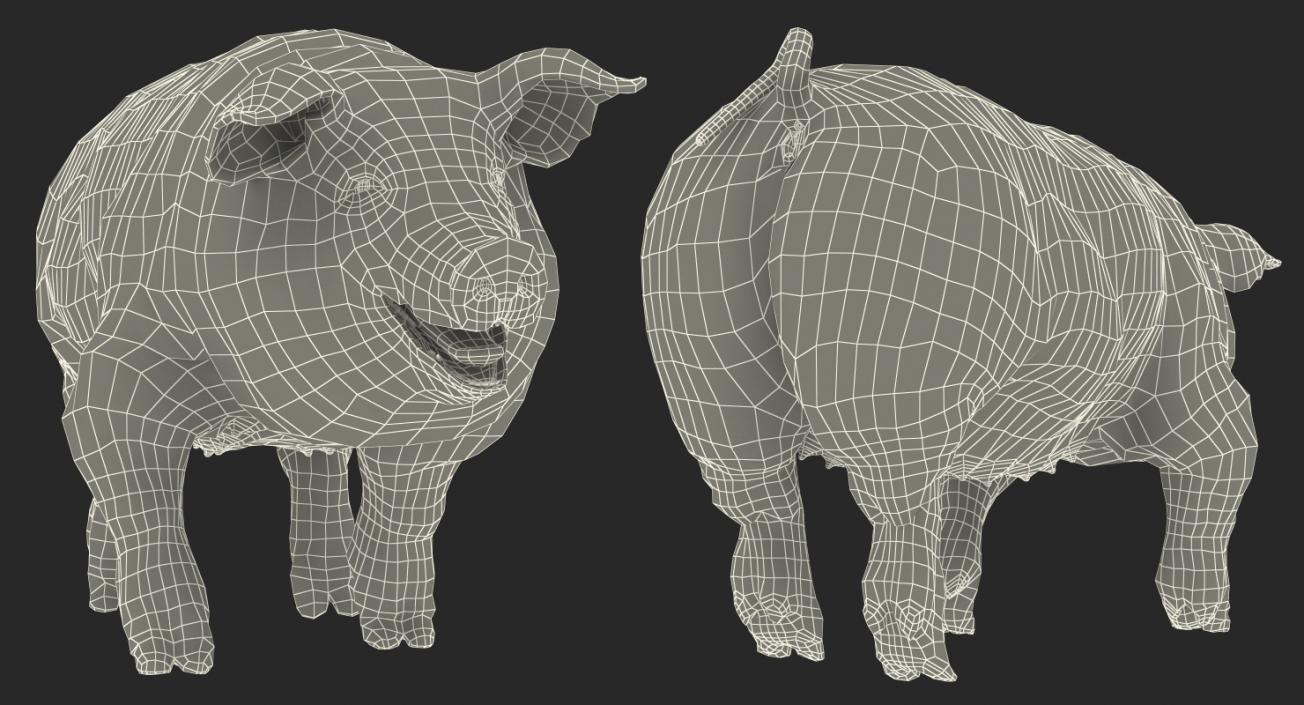 3D model Hampshire Pig Sow Walking Pose