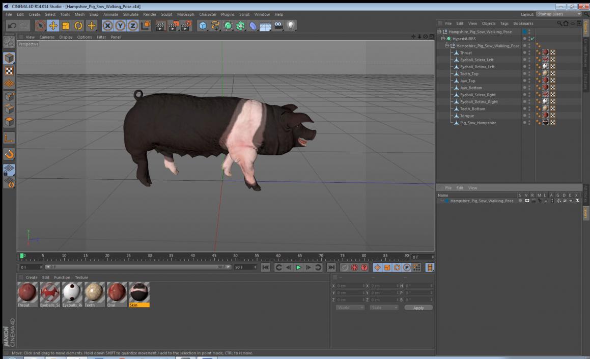 3D model Hampshire Pig Sow Walking Pose