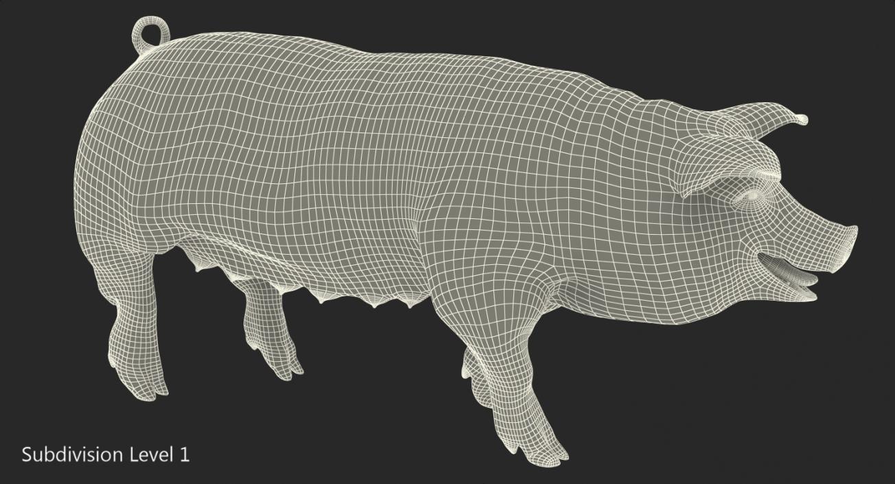 3D model Hampshire Pig Sow Walking Pose