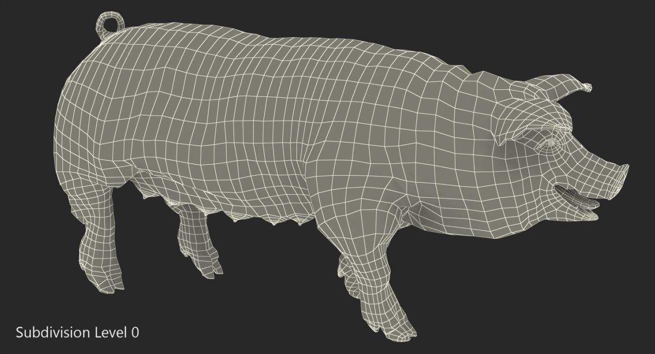 3D model Hampshire Pig Sow Walking Pose