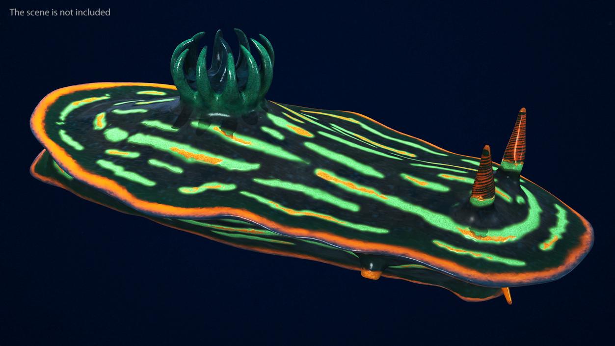 Nembrotha Kubaryana 3D model