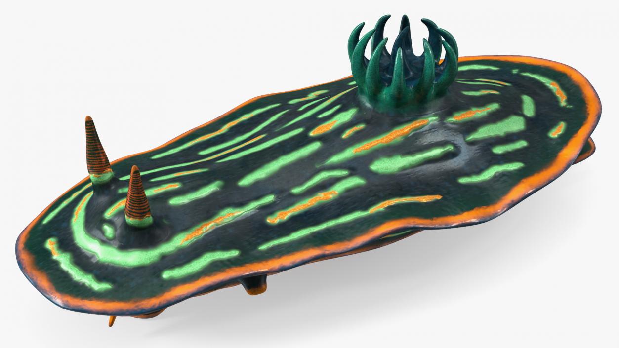 Nembrotha Kubaryana 3D model