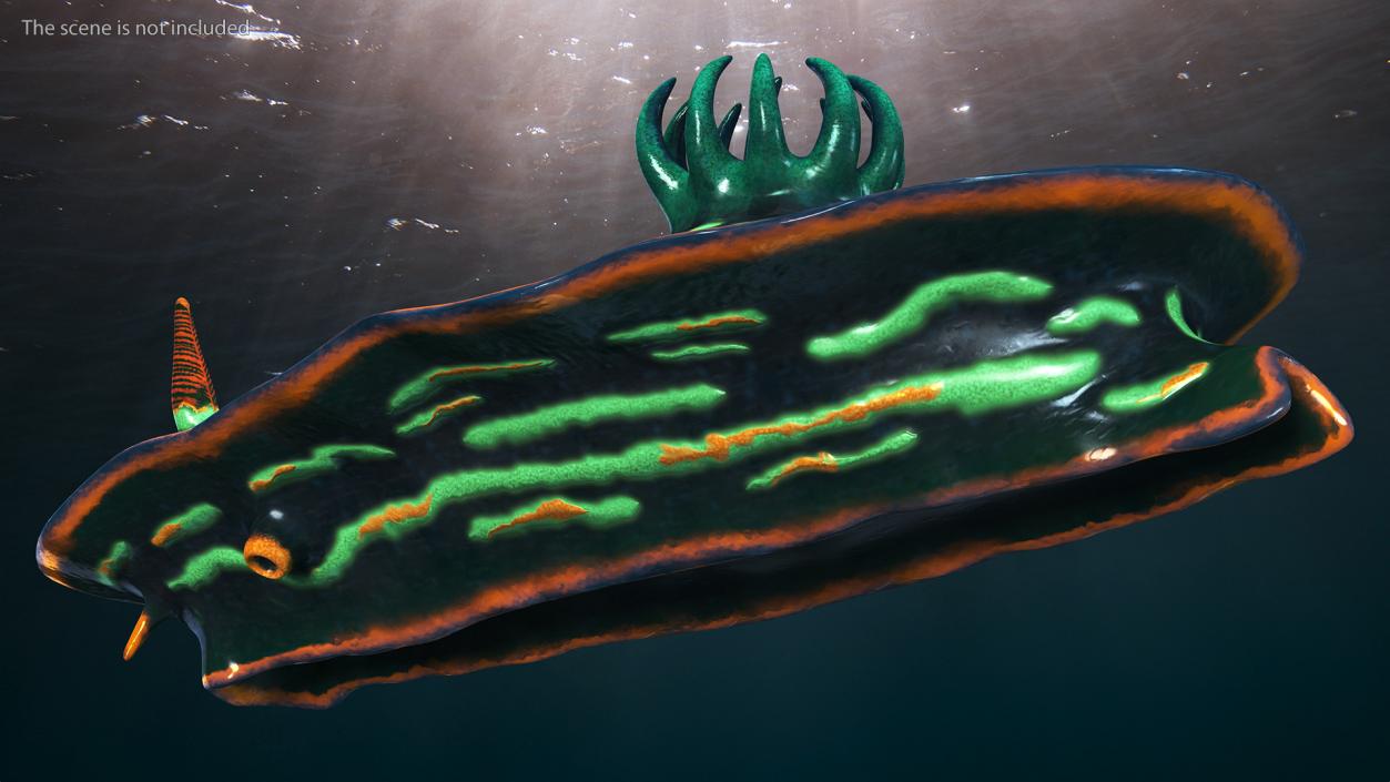 Nembrotha Kubaryana 3D model