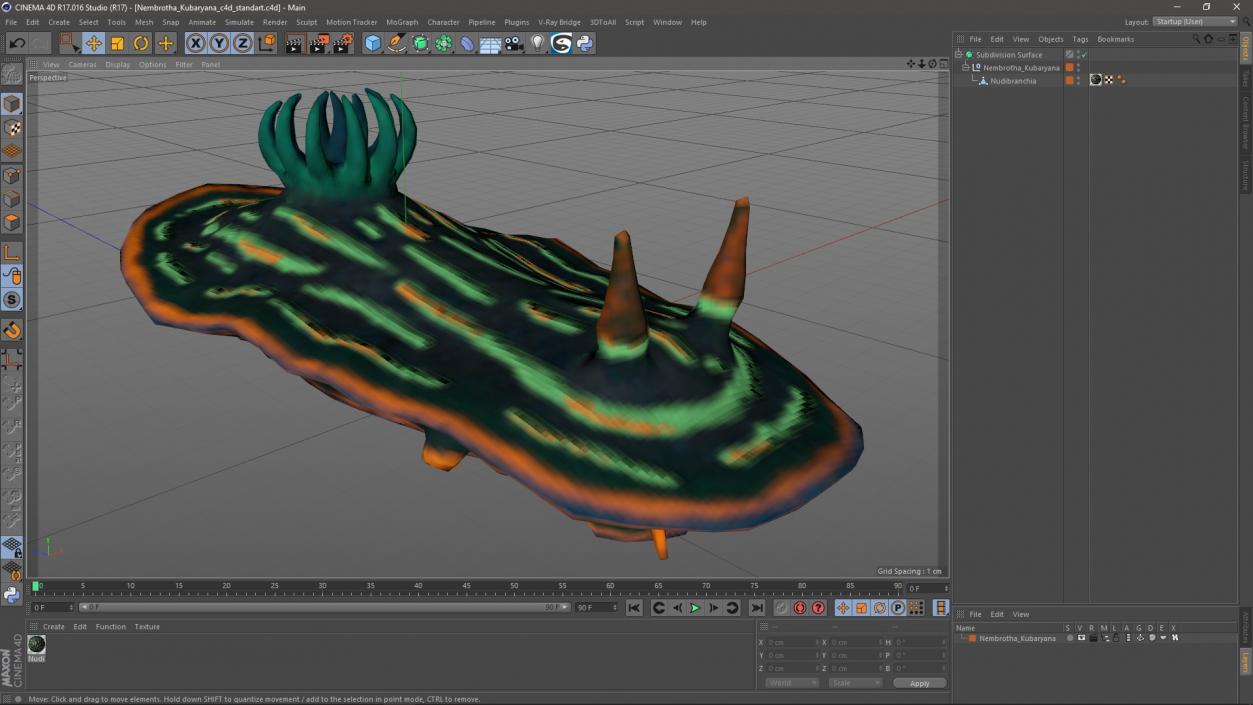 Nembrotha Kubaryana 3D model