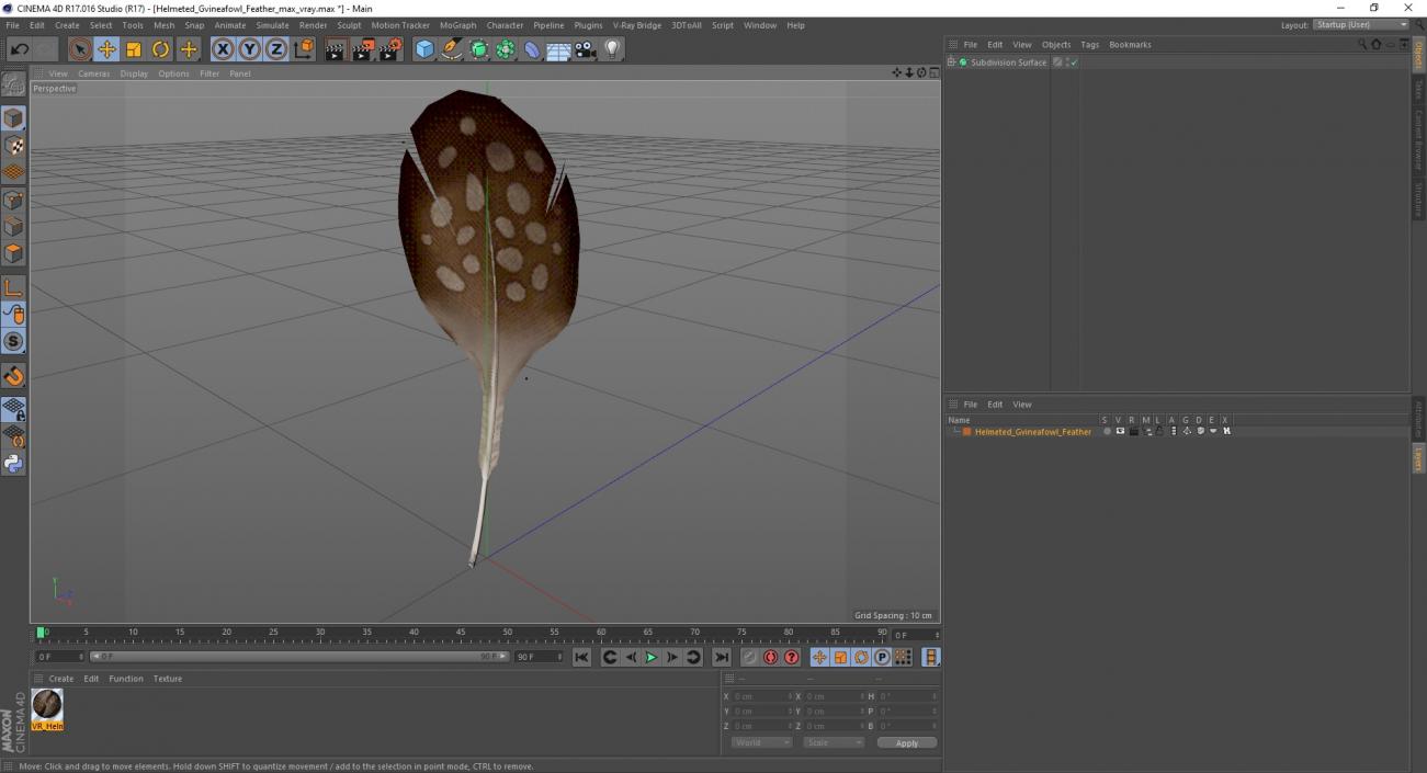 Helmeted Gvineafowl Feather 2 3D model