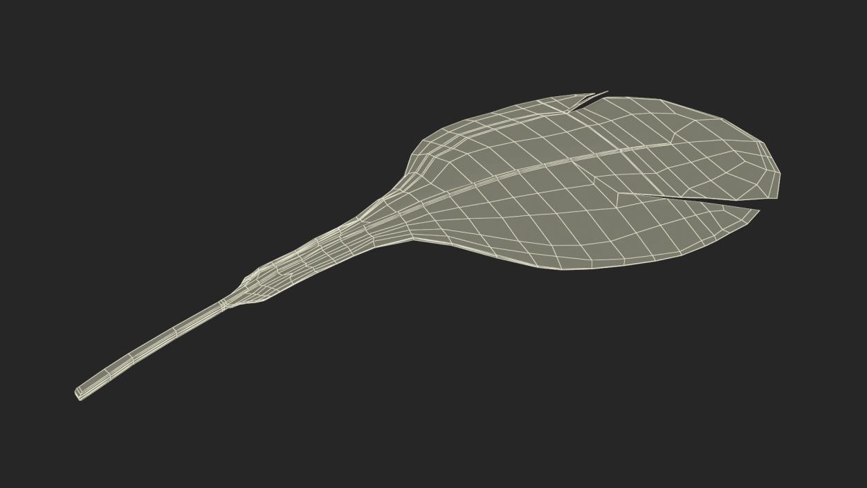 Helmeted Gvineafowl Feather 2 3D model