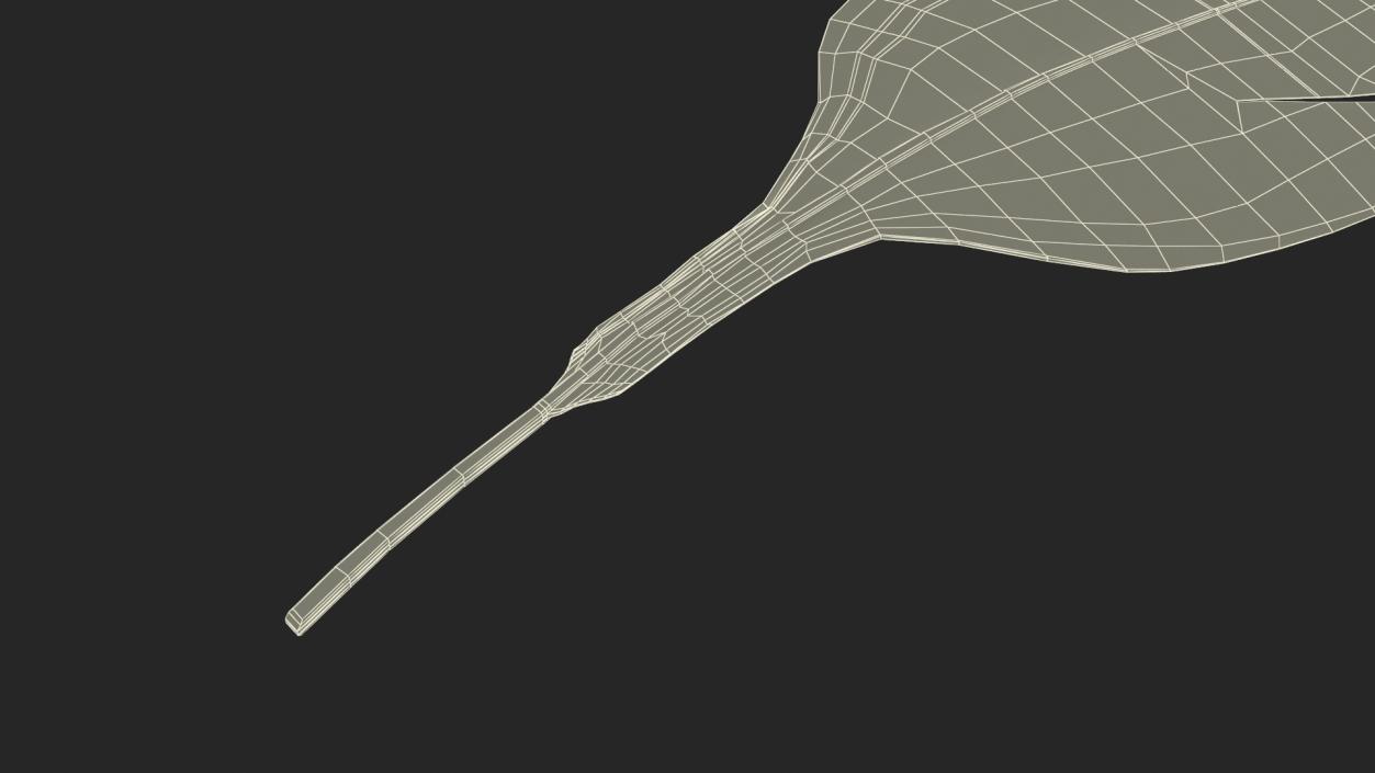 Helmeted Gvineafowl Feather 2 3D model