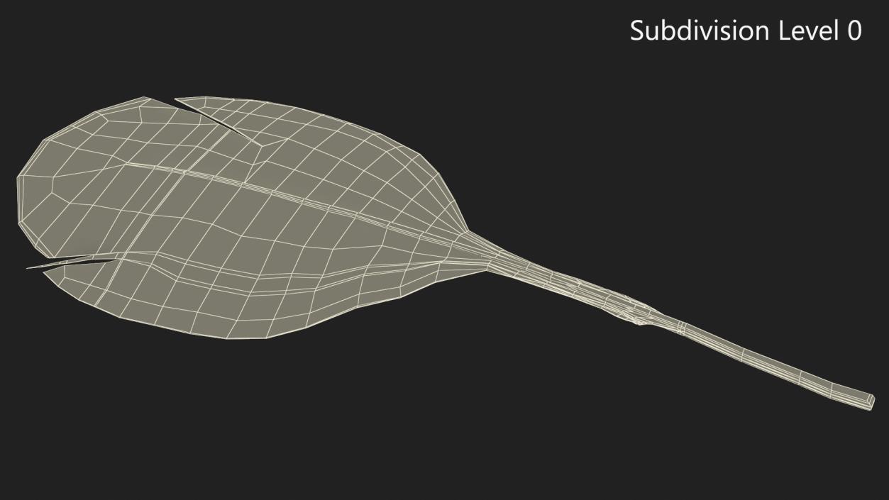 Helmeted Gvineafowl Feather 2 3D model