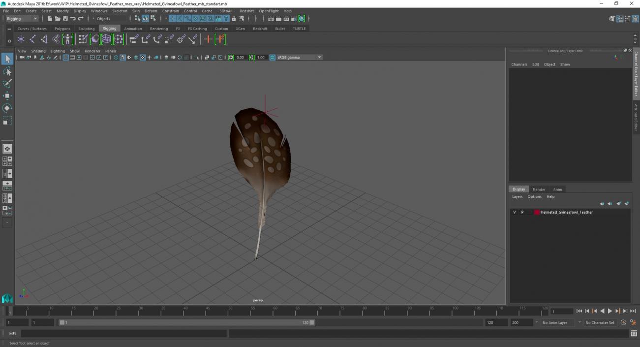 Helmeted Gvineafowl Feather 2 3D model