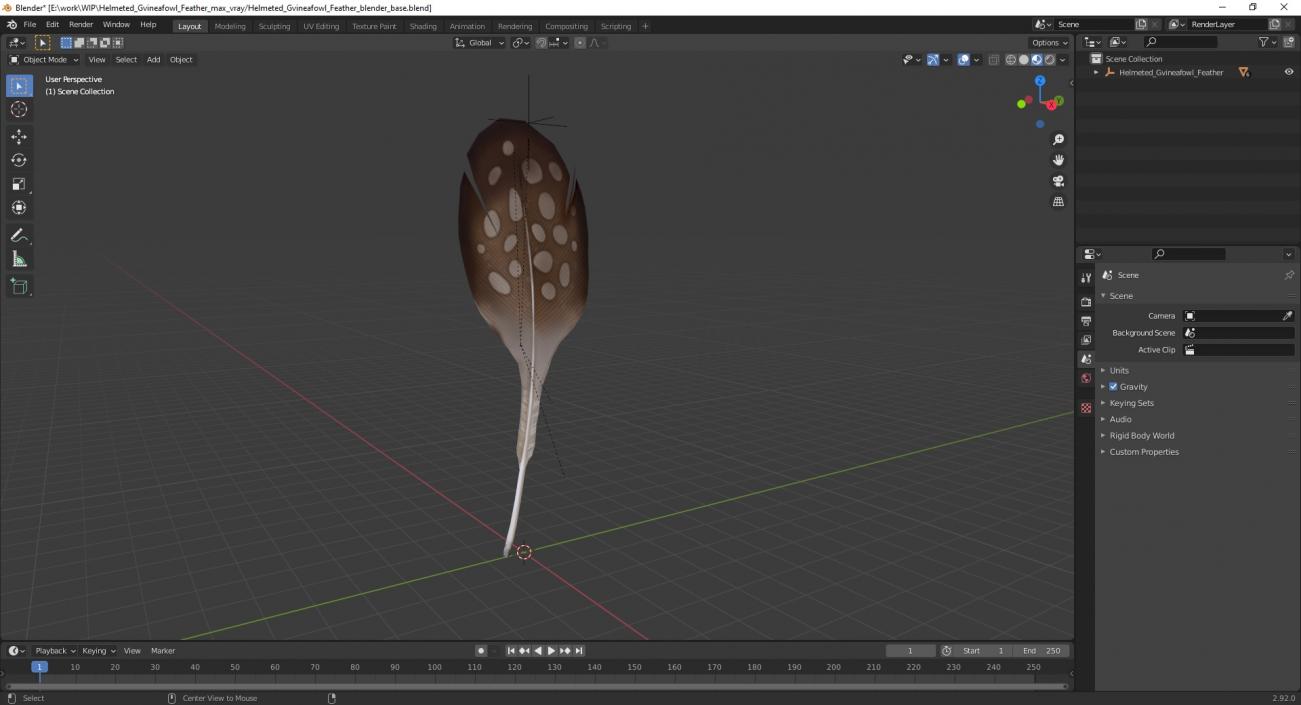 Helmeted Gvineafowl Feather 2 3D model