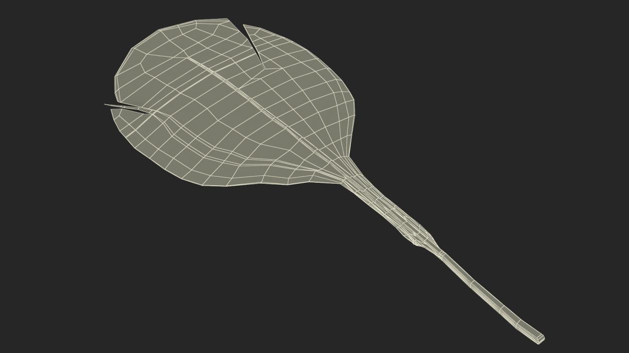 Helmeted Gvineafowl Feather 2 3D model