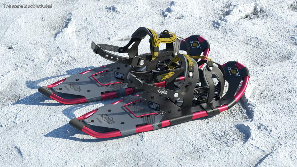 Tourist Snowshoes Atlas Red 3D