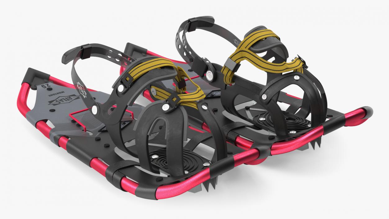 Tourist Snowshoes Atlas Red 3D