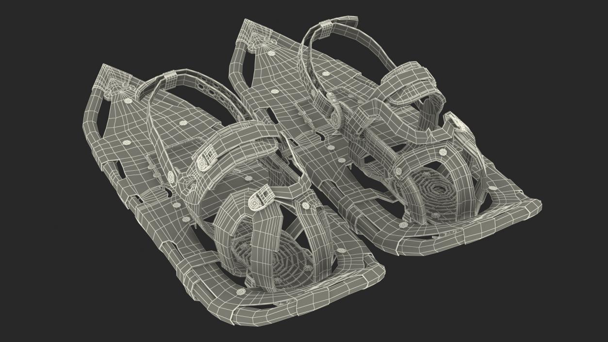 Tourist Snowshoes Atlas Red 3D