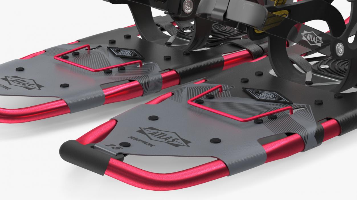 Tourist Snowshoes Atlas Red 3D