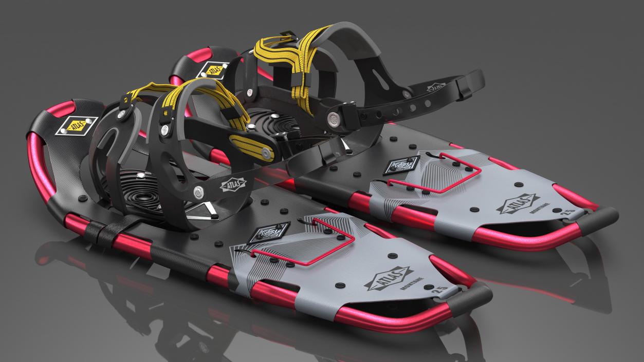 Tourist Snowshoes Atlas Red 3D