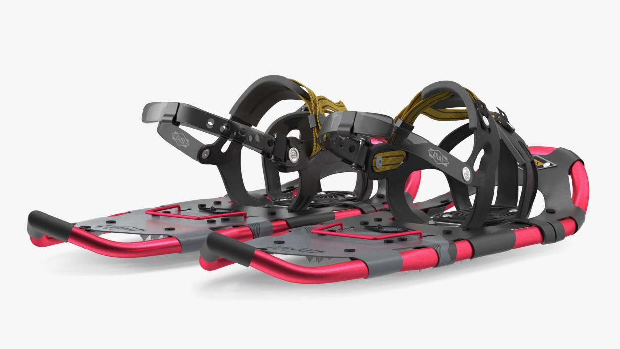 Tourist Snowshoes Atlas Red 3D