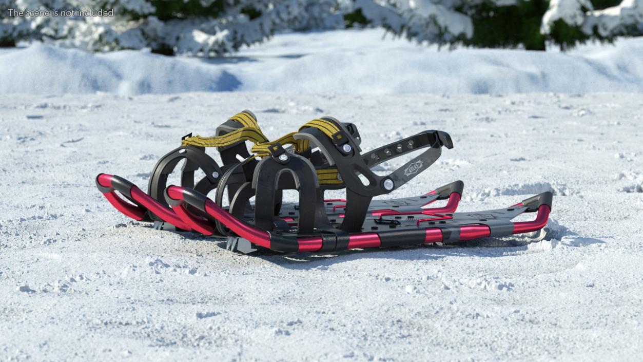 Tourist Snowshoes Atlas Red 3D