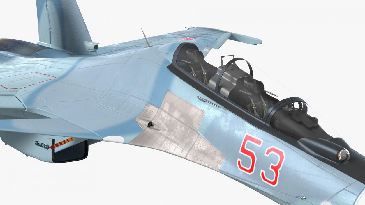 Su-30 Jet Fighter in Flight 3D