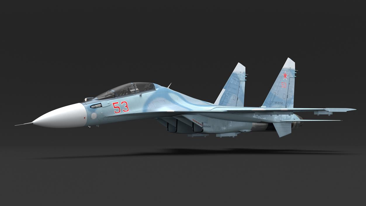 Su-30 Jet Fighter in Flight 3D