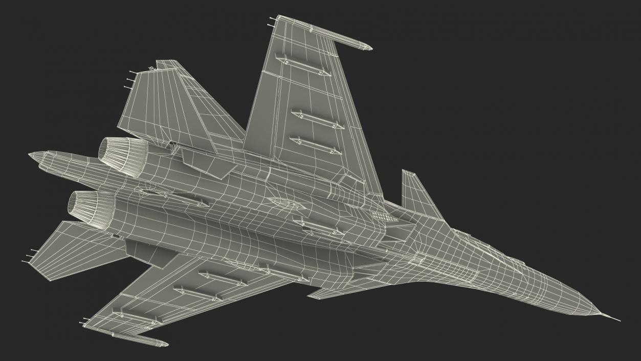 Su-30 Jet Fighter in Flight 3D