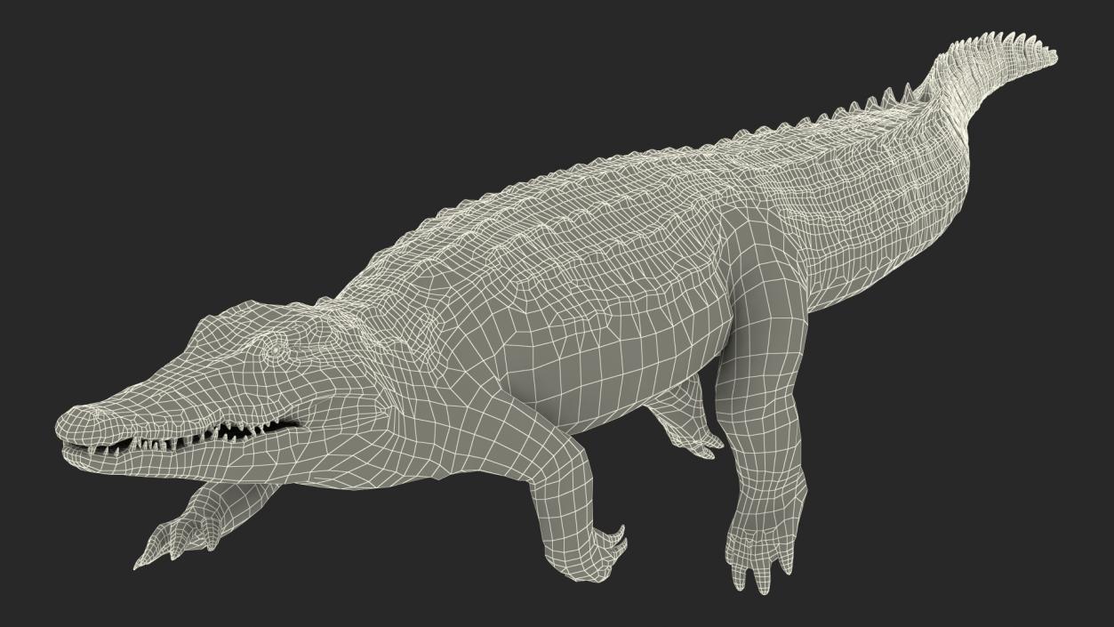 3D Animated Crocodile Swiming Rigged model