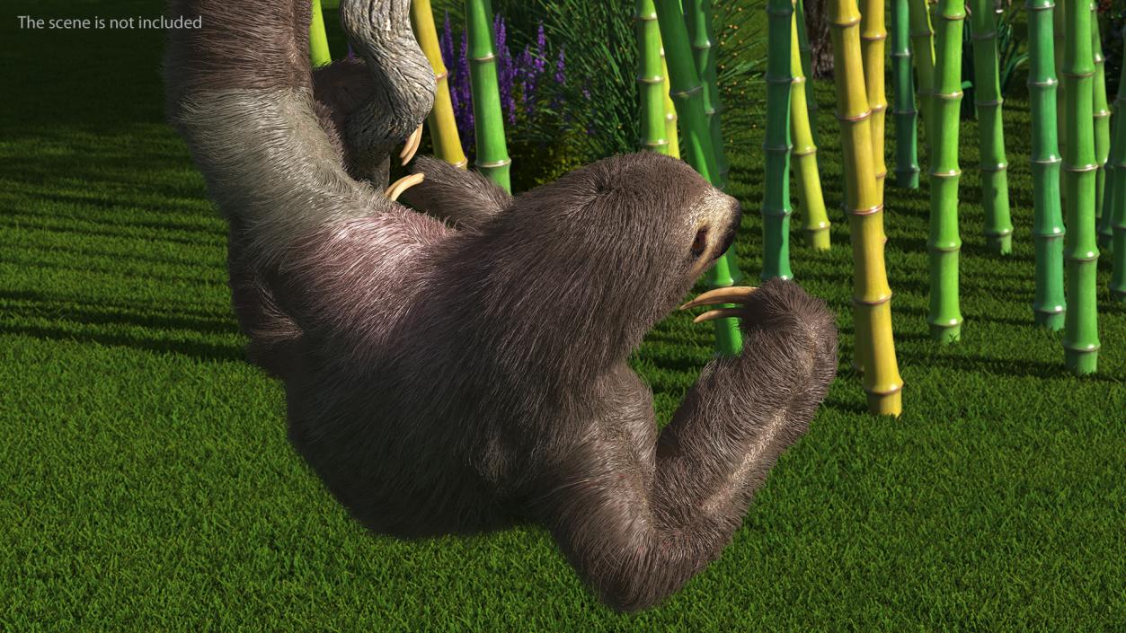 3D Sloth Hanging from a Branch Fur