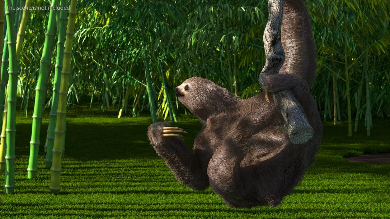 3D Sloth Hanging from a Branch Fur