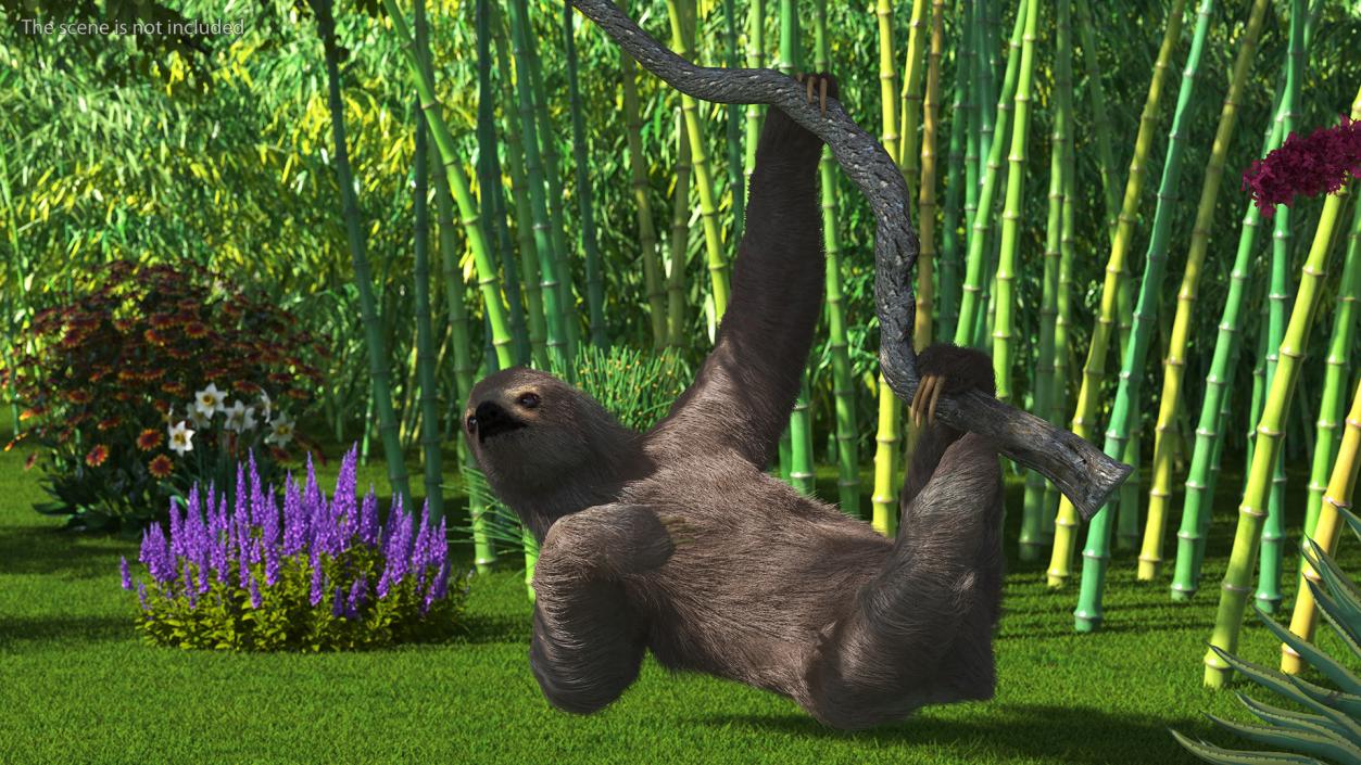 3D Sloth Hanging from a Branch Fur