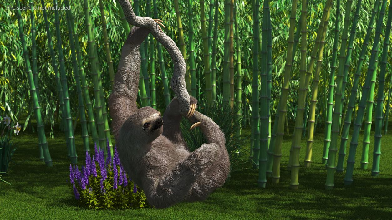 3D Sloth Hanging from a Branch Fur