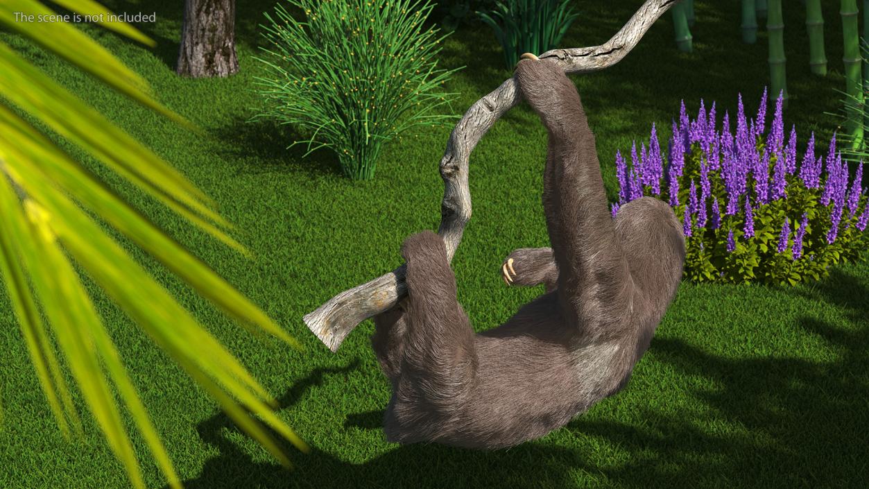 3D Sloth Hanging from a Branch Fur