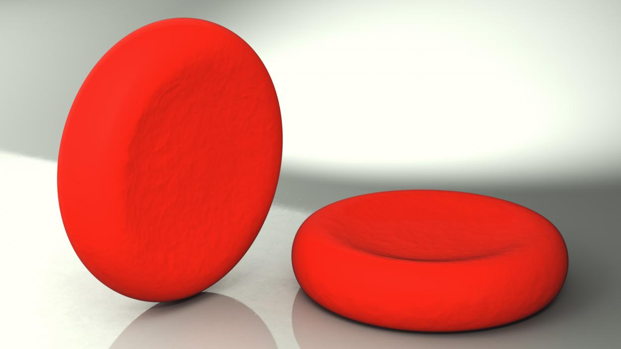 Erythrocyte Blood Cell 3D