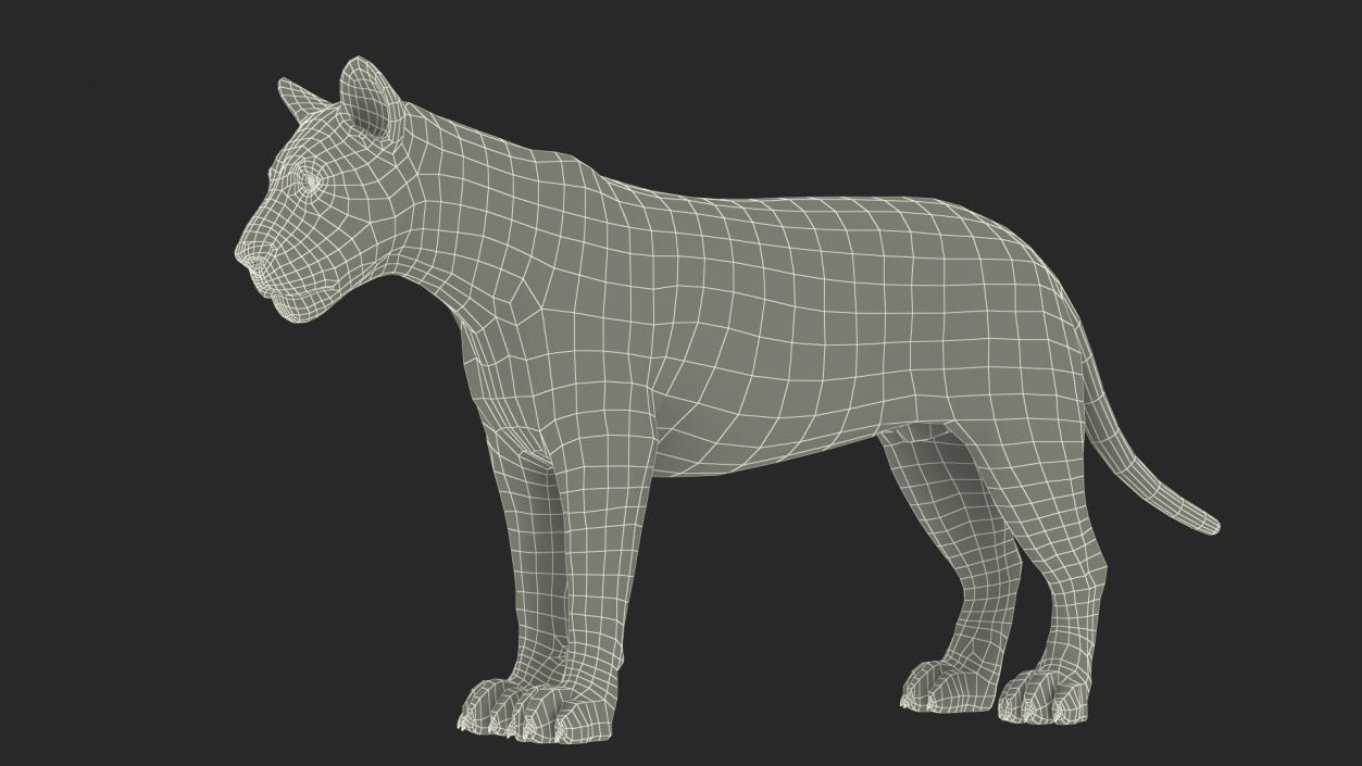 3D White Male Lion Fur Rigged