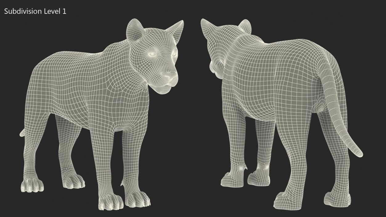 3D White Male Lion Fur Rigged