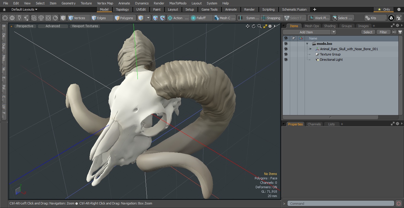 3D Animal Ram Skull with Nose Bone