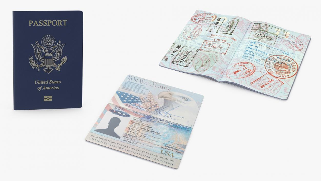 USA Passports Collection 3D model