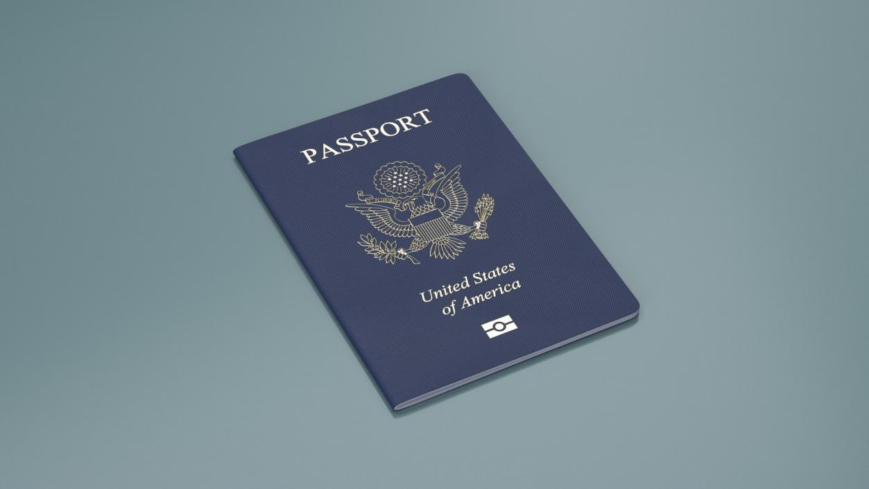 USA Passports Collection 3D model