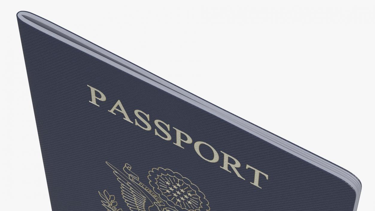 USA Passports Collection 3D model