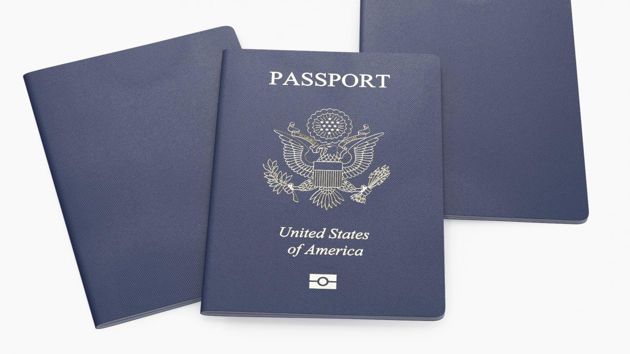 USA Passports Collection 3D model