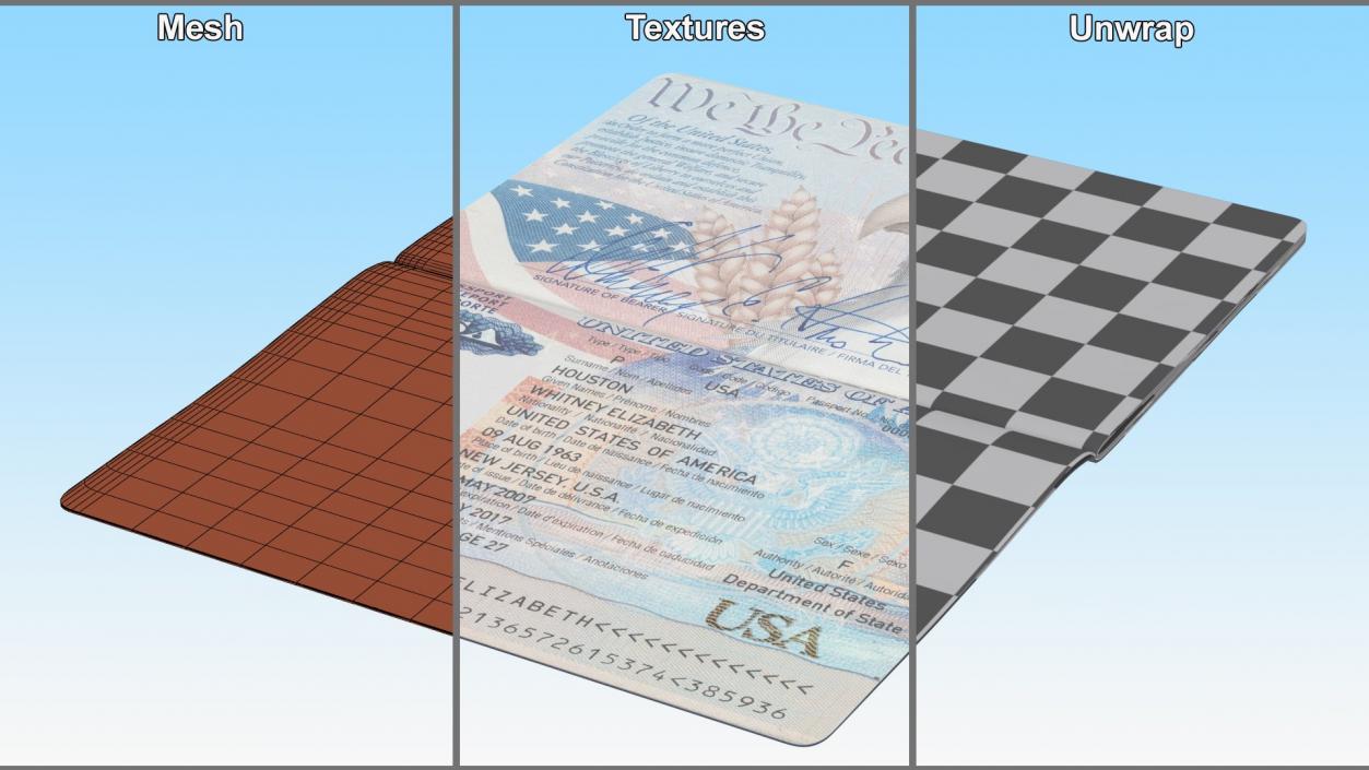 USA Passports Collection 3D model