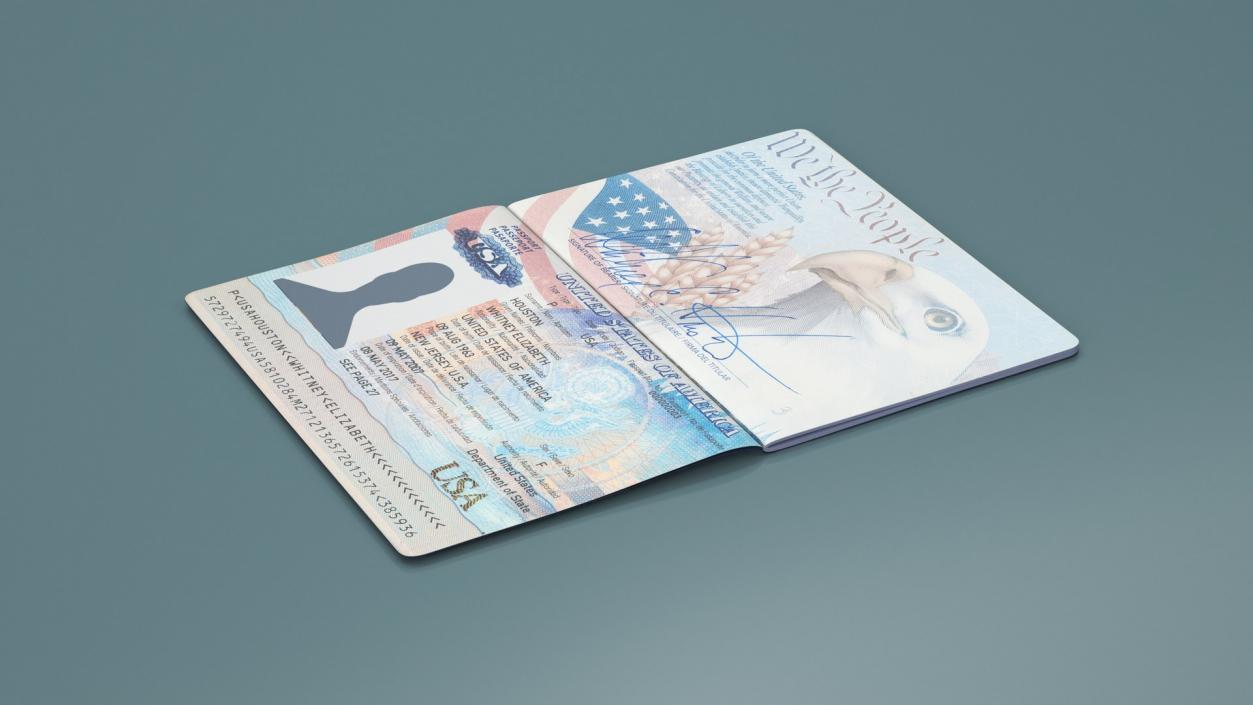 USA Passports Collection 3D model