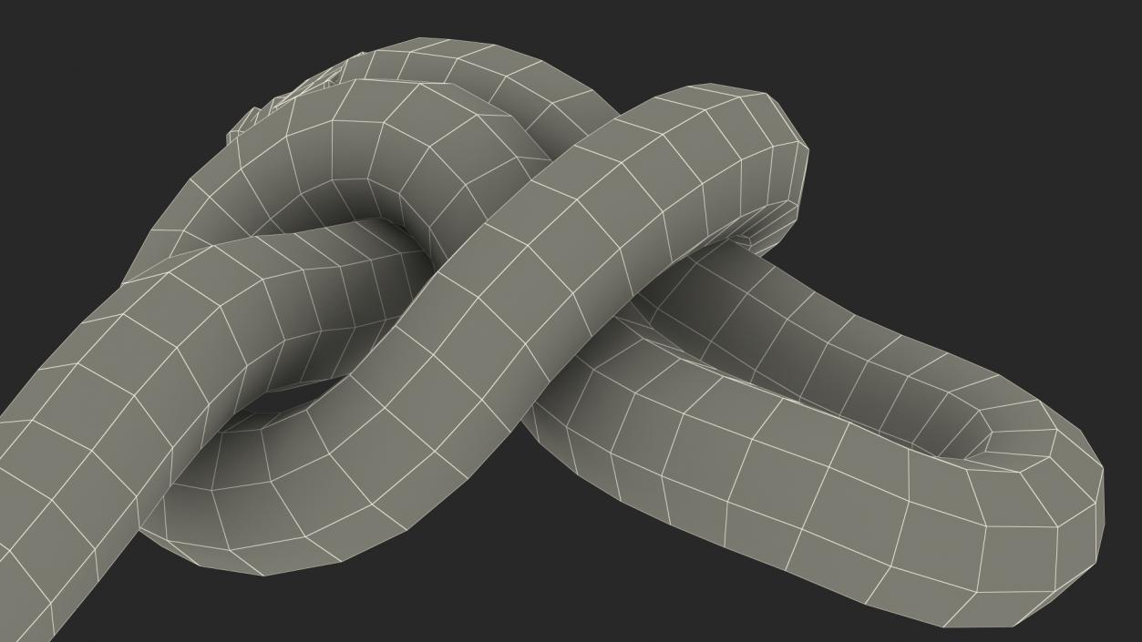 Slip Knot 3D model