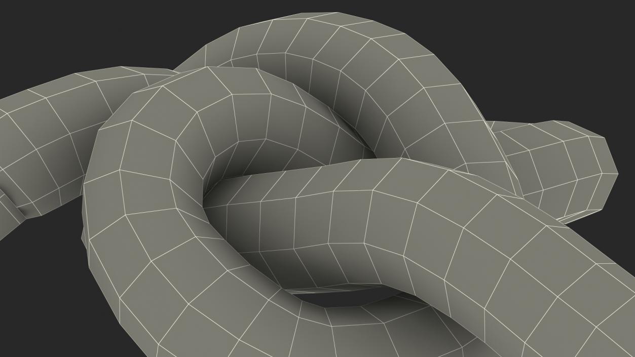 Slip Knot 3D model