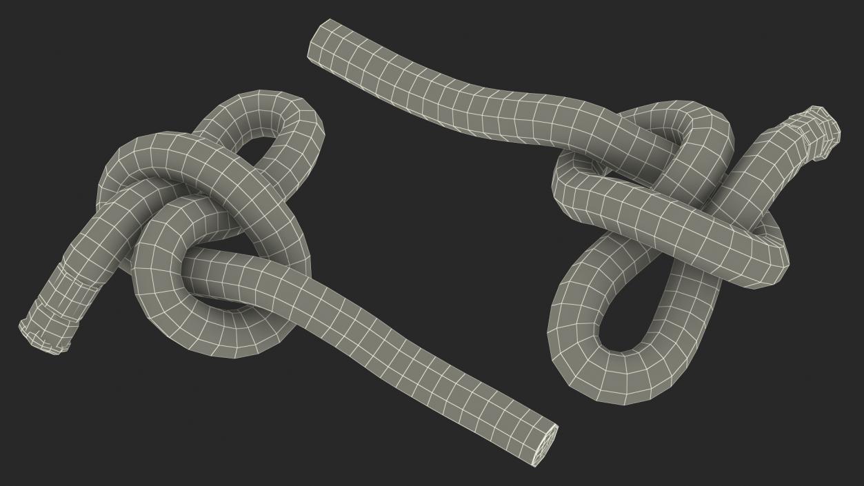 Slip Knot 3D model